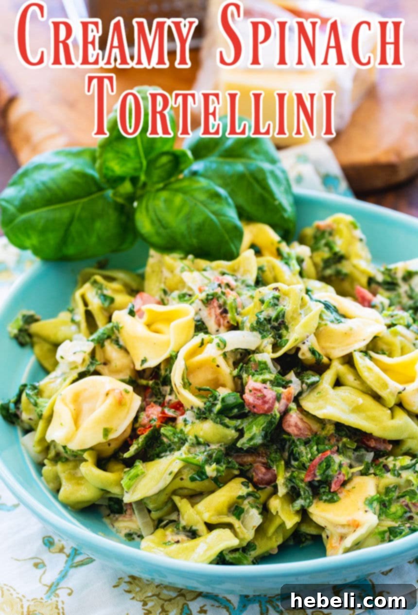 Close-up of Creamy Spinach Tortellini in a blue bowl, showing the rich sauce coating each piece of pasta.