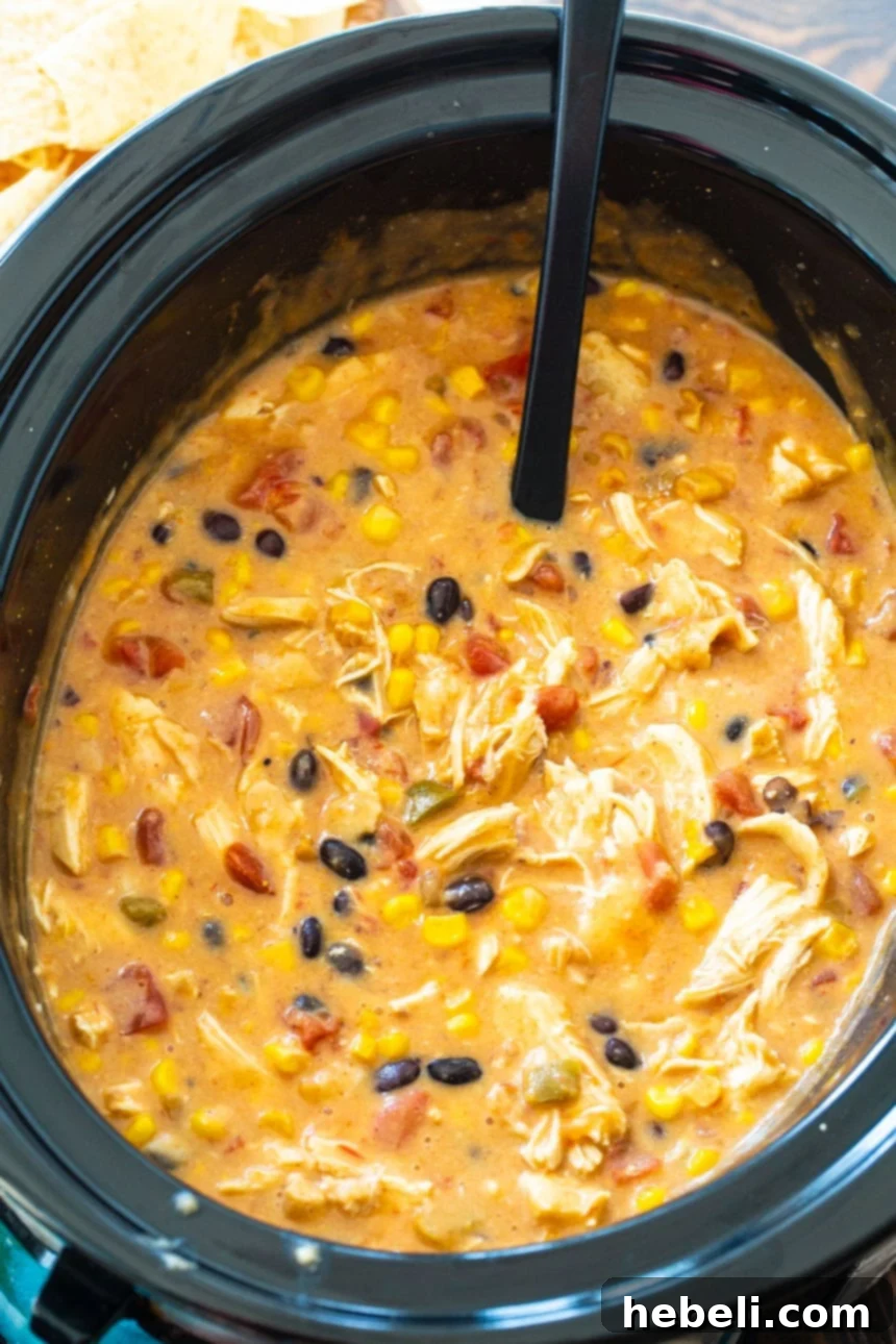 Close-up of shredded chicken and beans in Slow Cooker Chicken Tortilla Soup.