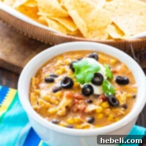 Slow Cooker Chicken Tortilla Soup
