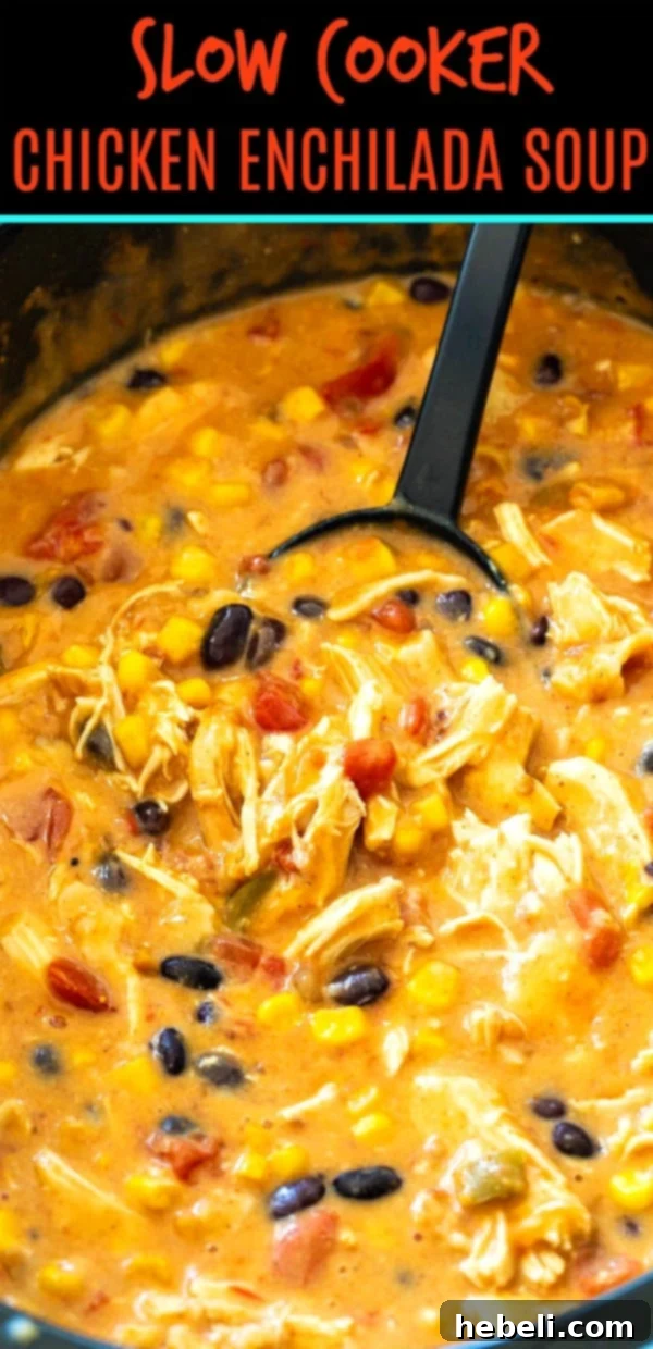 A bowl of Slow Cooker Chicken Enchilada Soup ready to be served.