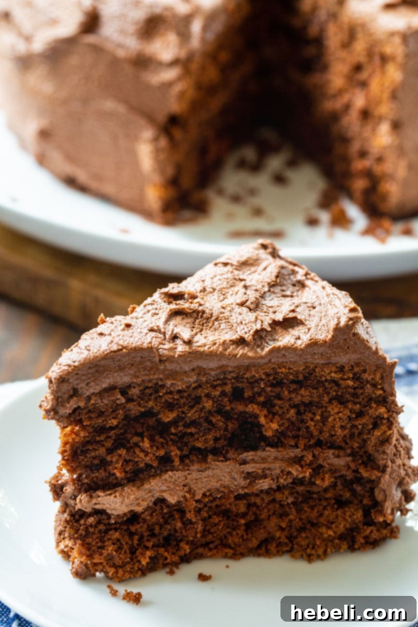 A generous slice of Chocolate Layer Cake on a white plate, showcasing its beautiful layers and thick, smooth chocolate buttercream frosting.