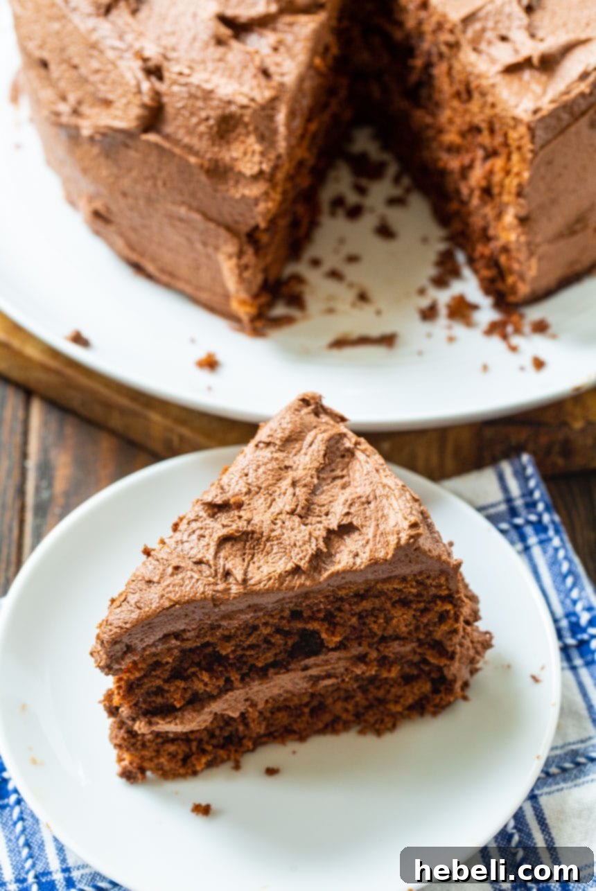 A tantalizing slice of Chocolate Layer Cake on a white plate, with the remainder of the beautifully frosted cake prominently featured in the background.