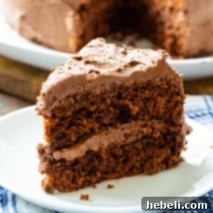 Beautifully frosted Chocolate Layer Cake, showcasing its perfect layers and inviting texture, ready to be sliced and served.