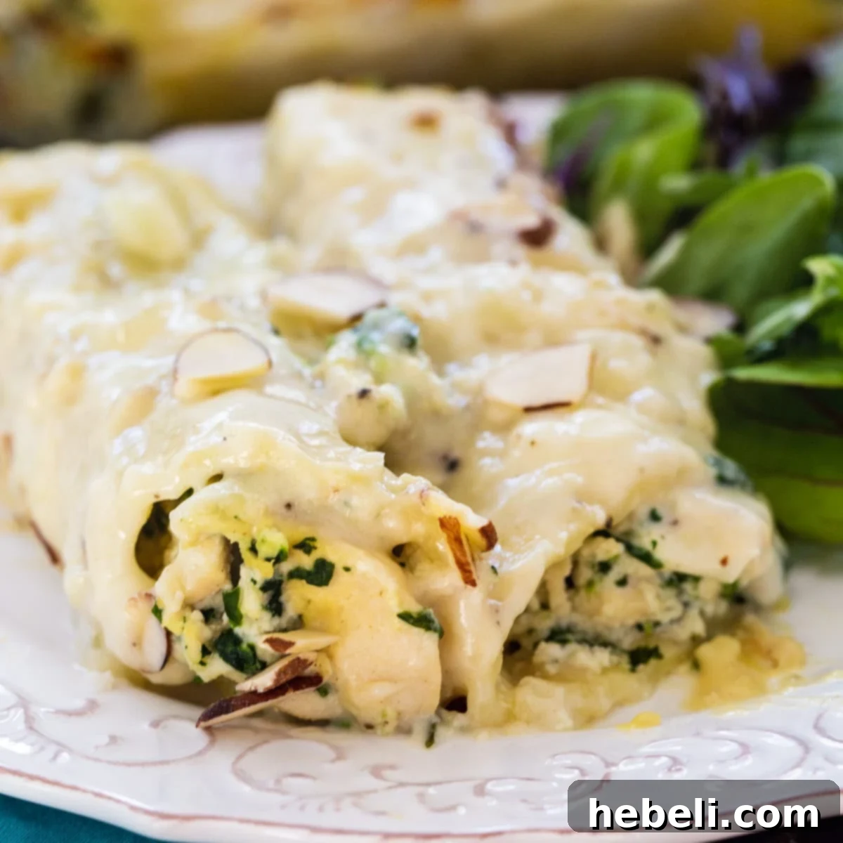 Manicotti with Creamed Chicken on a plate with salad.