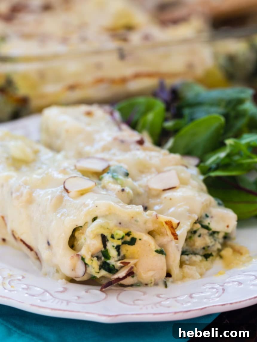 Creamy Chicken Manicotti on a plate with green salad