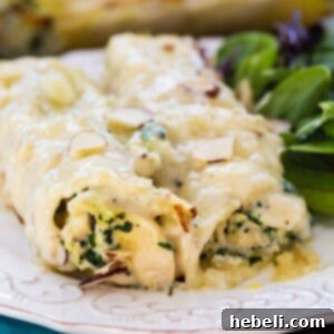 Manicotti with Creamed Chicken on a plate with salad.