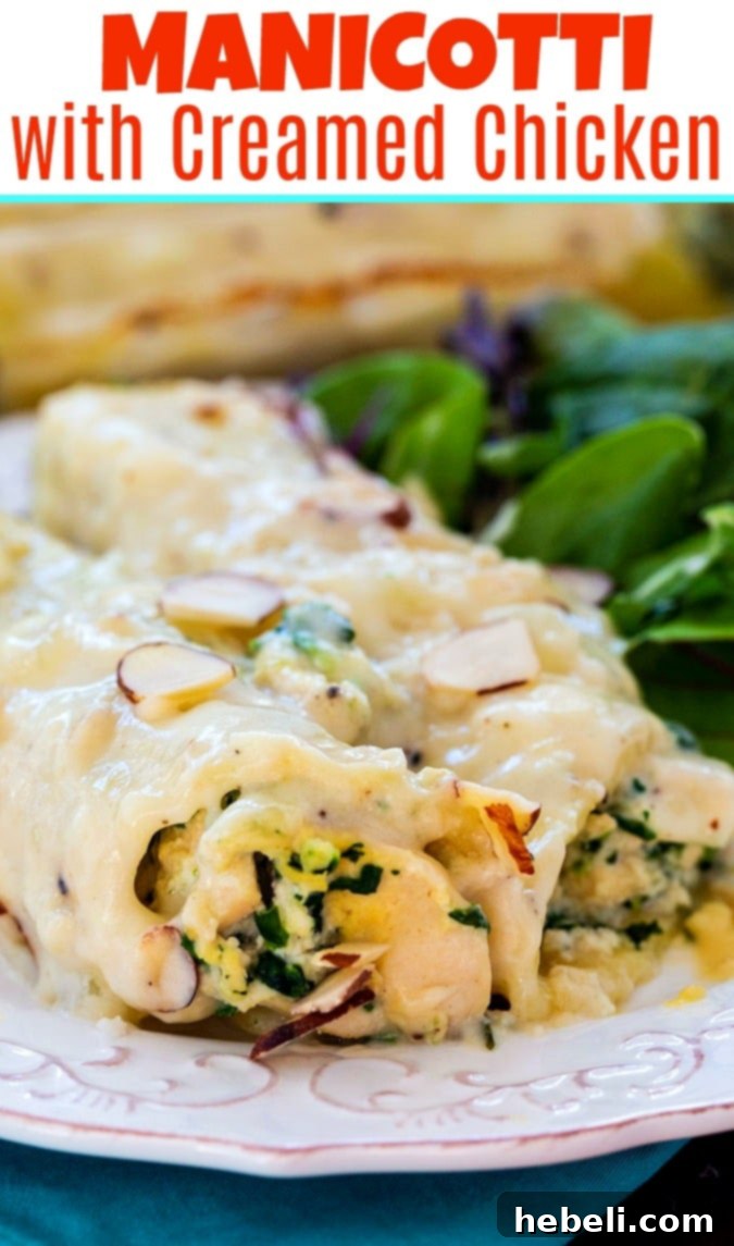 Manicotti with Creamed Chicken on a white plate