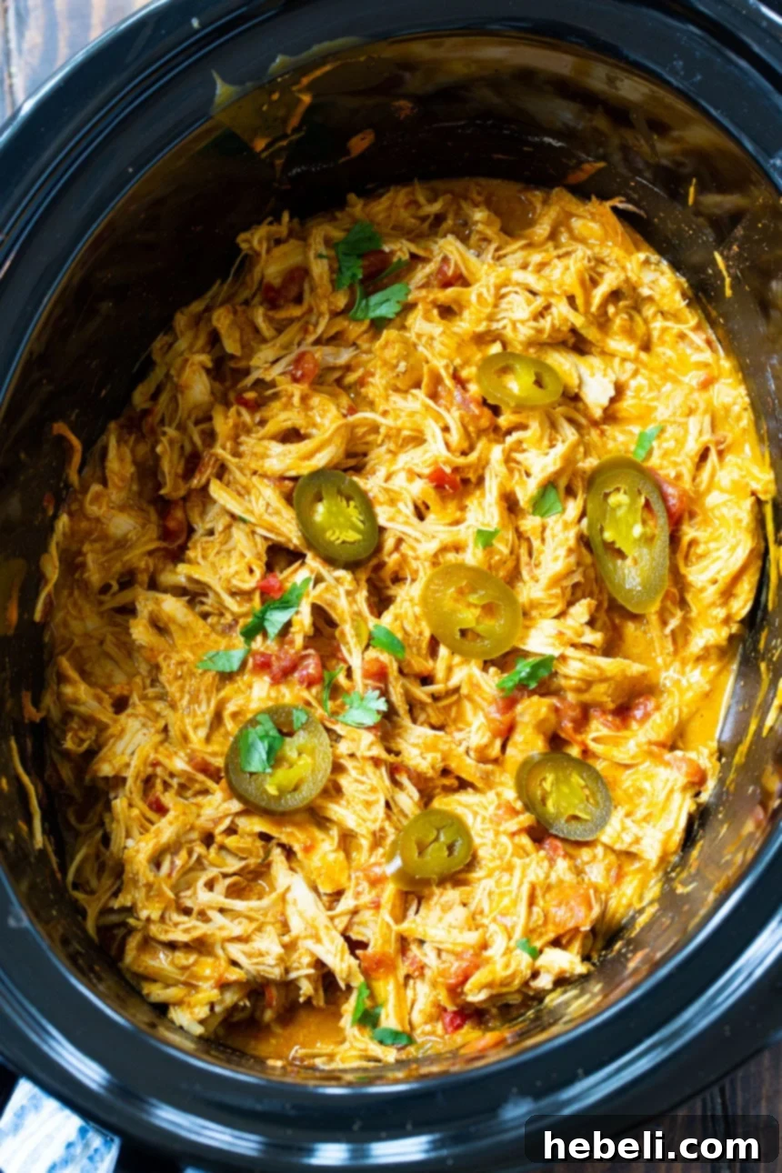 Cheesy Fiesta Crock-Pot Chicken 3 Shredded Nacho Chicken in a black 6-quart slow cooker, ready to be served.