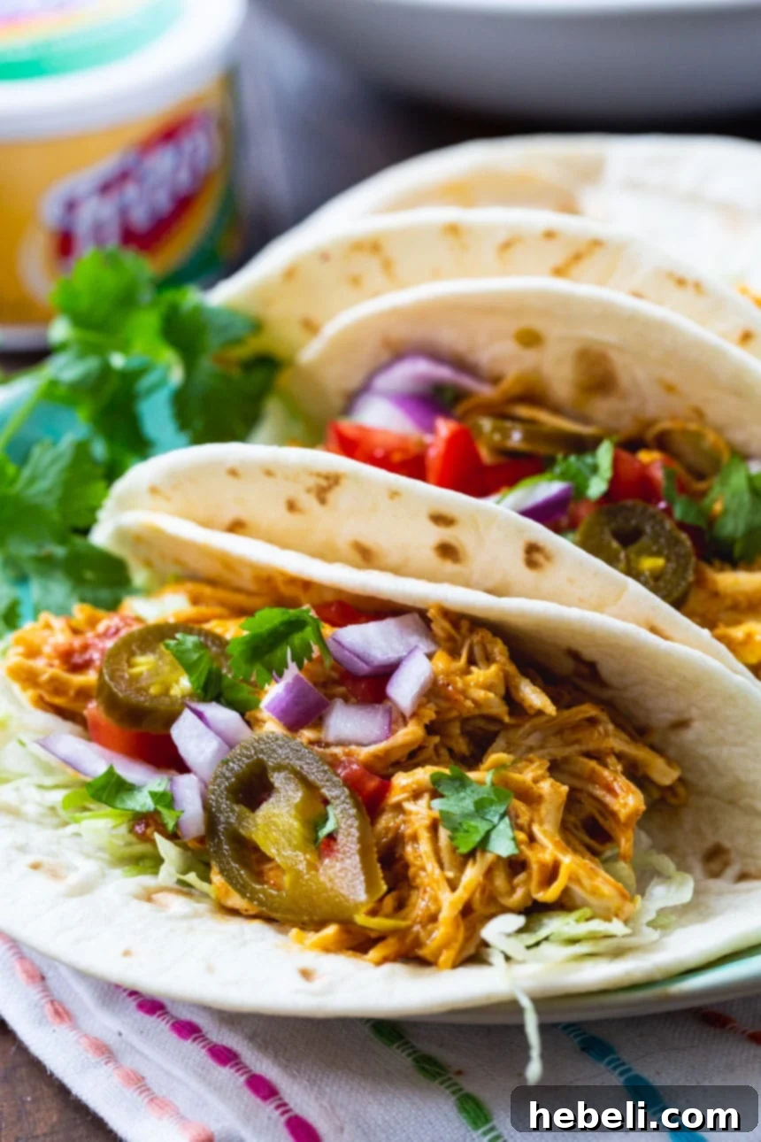 Cheesy Fiesta Crock-Pot Chicken 4 Shredded Nacho Chicken Tacos on a plate with cilantro garnish.