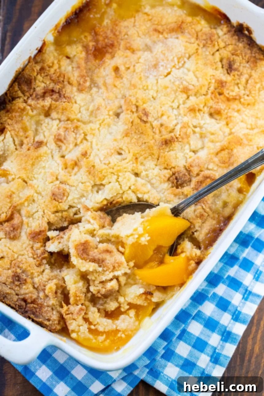 Year-Round Peach Cobbler Delight 3 Anytime Peach Cobbler baking in a 9x13-inch dish, with a bubbling fruit base and golden biscuit topping.