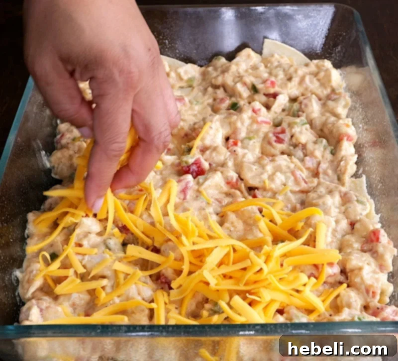 A layer of shredded cheddar cheese generously spread over the chicken mixture in the baking dish.