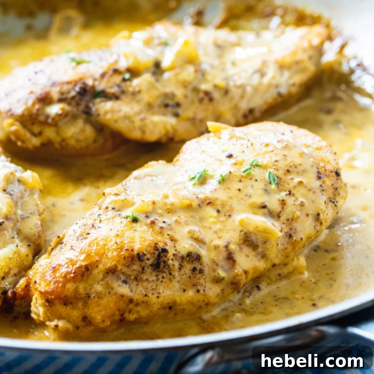 Creamy Creole Mustard Chicken 2 Chicken with Creole Mustard Sauce in a skillet.