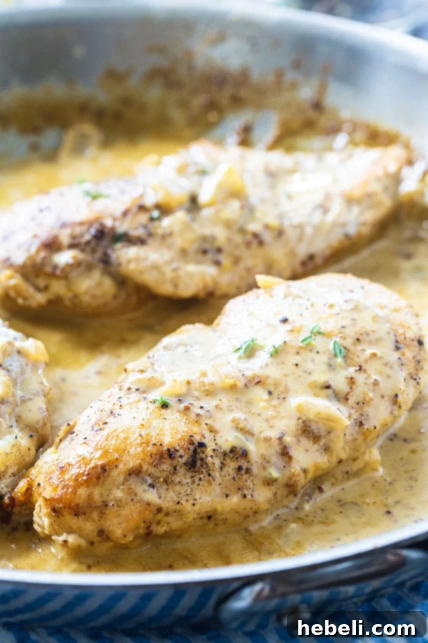 Creamy Creole Mustard Chicken 4 close-up of Chicken in Creole Mustard Sauce