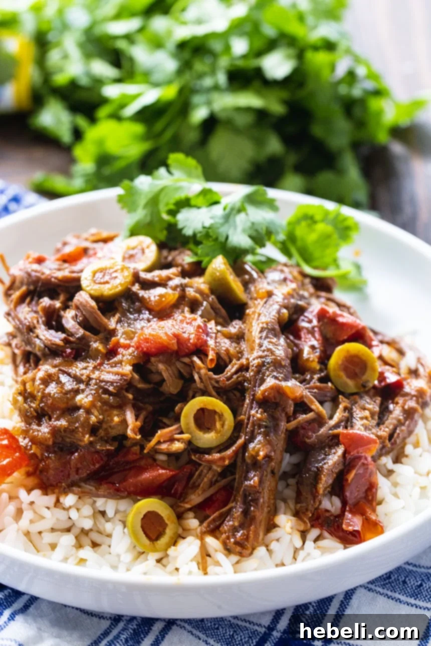 Close-up of Slow Cooker Ropa Vieja served over white rice with fresh cilantro garnish.