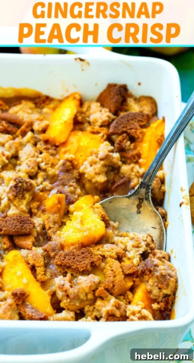 A spoon scooping a portion of Peach Gingersnap Crisp, showing the soft peach filling and crunchy topping.