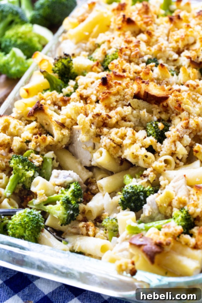 Creamy Chicken Broccoli Ziti Bake 4 Close-up of a perfectly baked Chicken Broccoli & Ziti Casserole with golden-brown breadcrumbs, fresh out of the oven.