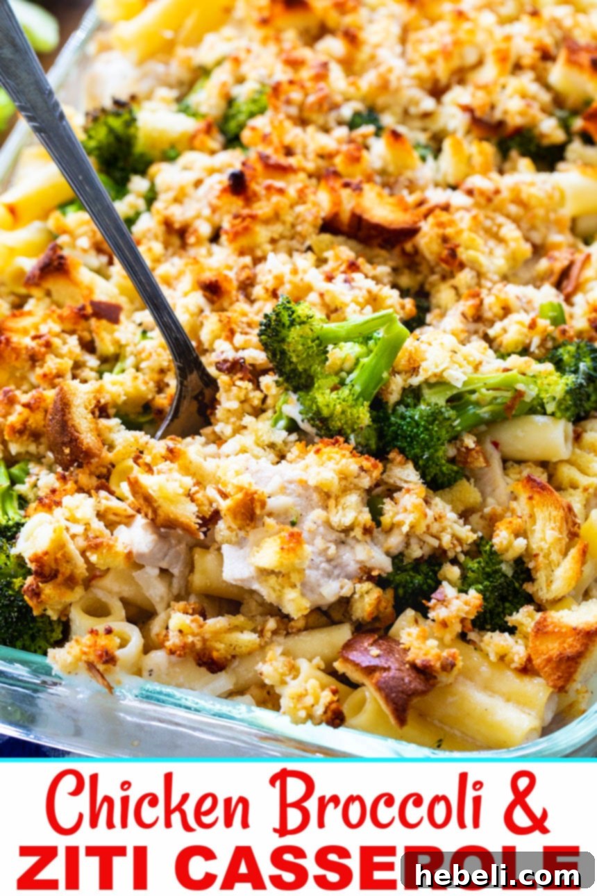 Creamy Chicken Broccoli Ziti Bake 6 Close-up of a serving of Chicken Broccoli & Ziti Casserole with a fork, showing the creamy texture and golden topping.