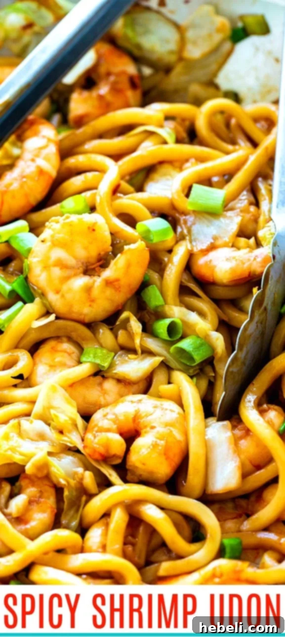 close-up of Spicy Shrimp Udon with a fork, showcasing noodles and shrimp.