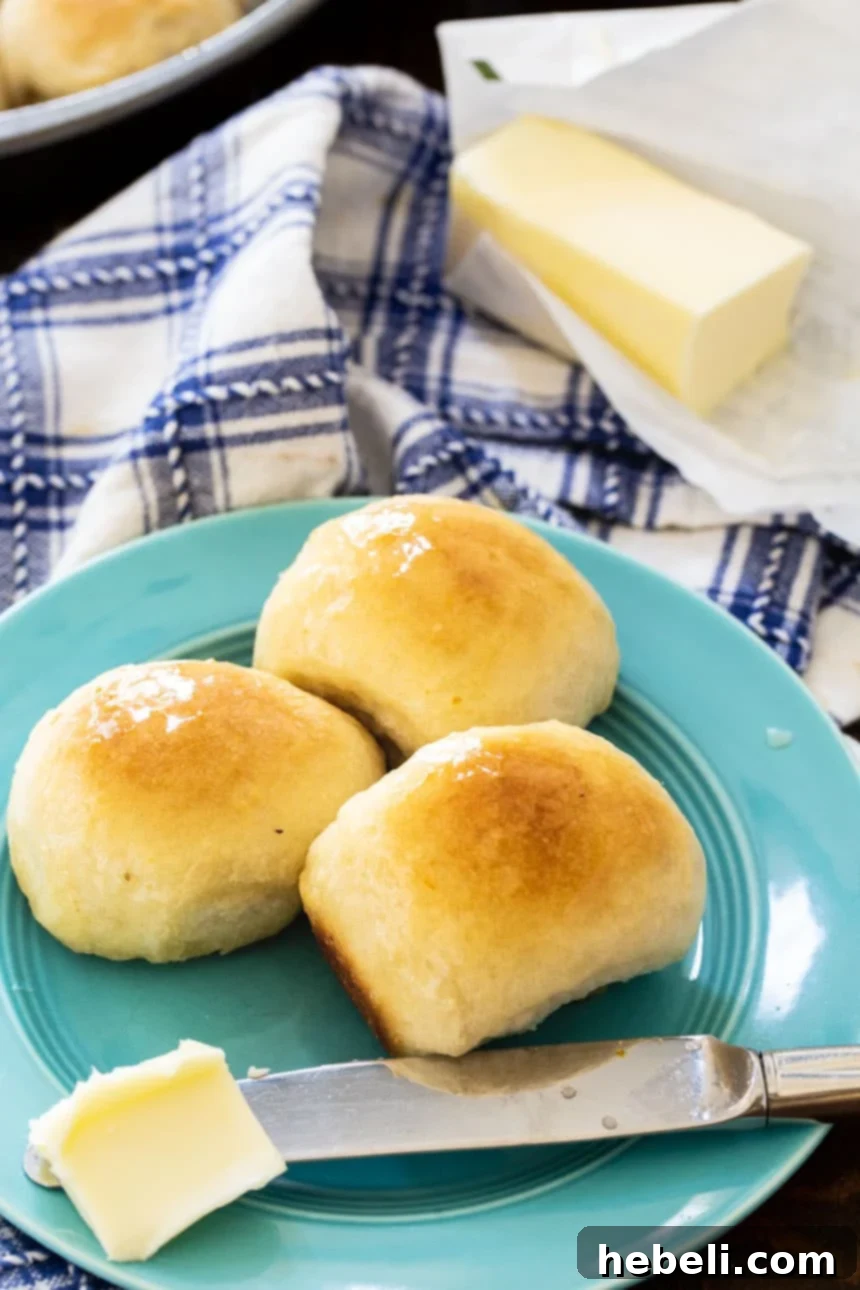 Pillowy Soft Butter Buns 4 Close-up of three Buttery Pan Rolls on a blue plate, showcasing their fluffy texture and golden crust.