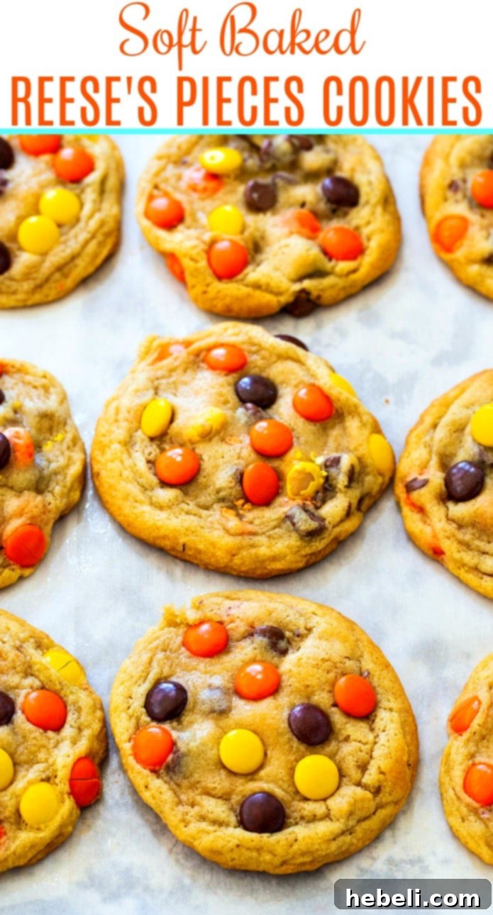 Soft Baked Reeses Pieces Cookies 6 Another view of the delicious Reese's Pieces Cookies on a baking sheet, ready to be enjoyed.