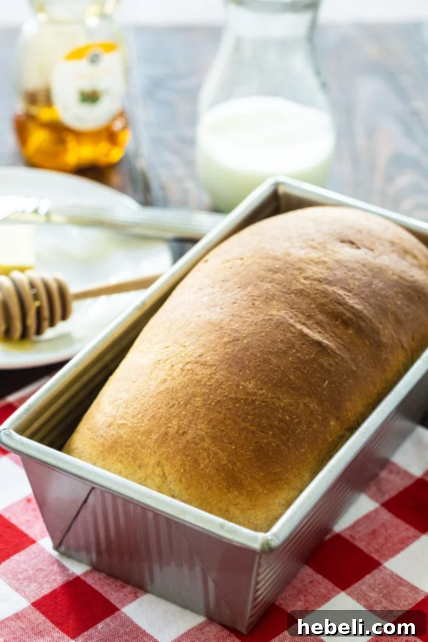 Freshly baked loaf of Buttermilk Bread in a loaf pan, with honey and buttermilk in the background.