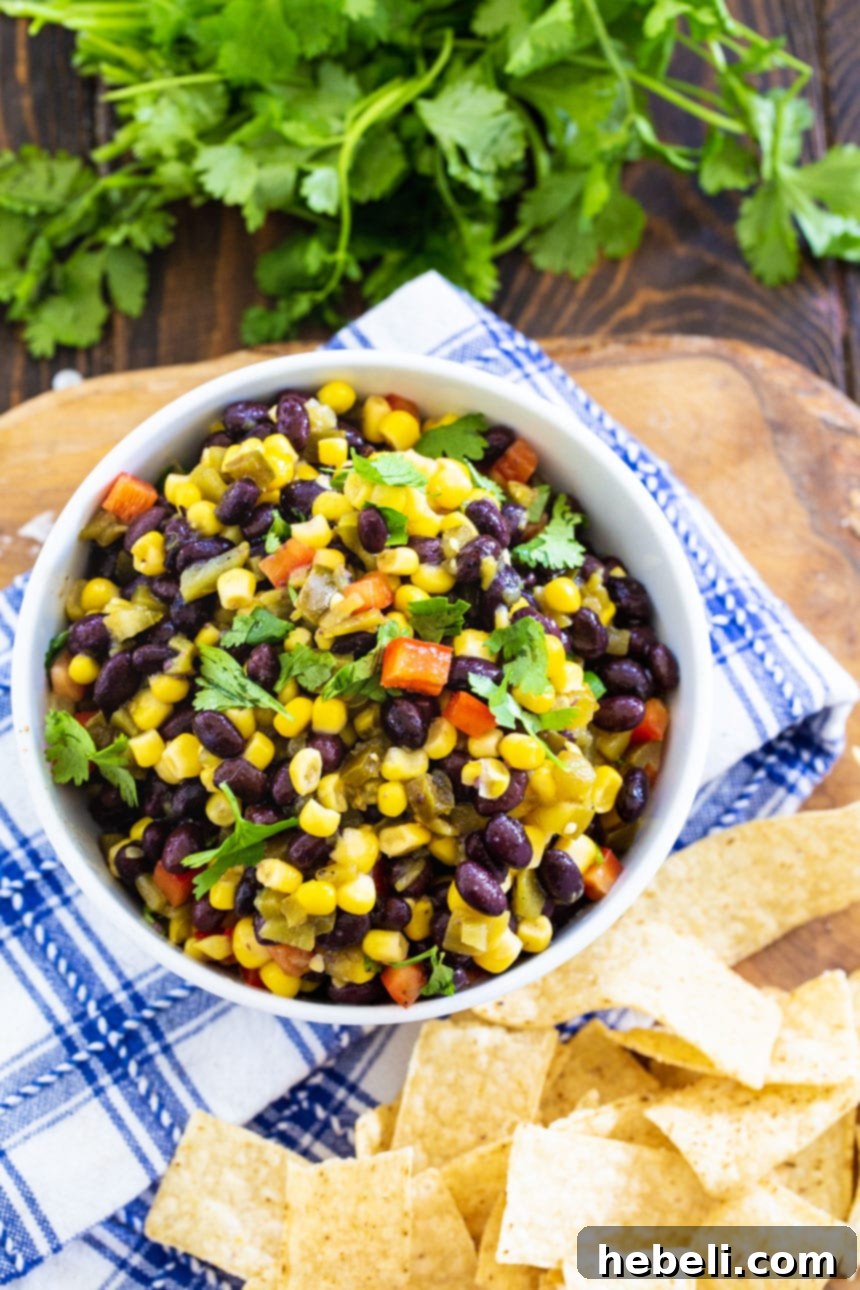 Southwestern Black Bean Corn Salad 3 overhead shot of Black Bean and Corn Salsa with tortila chips and fresh cilantro