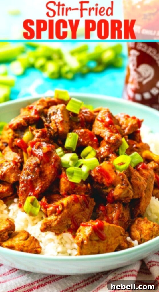 A final, mouth-watering close-up of the Stir-Fried Spicy Pork, emphasizing its rich texture and appetizing sauce.
