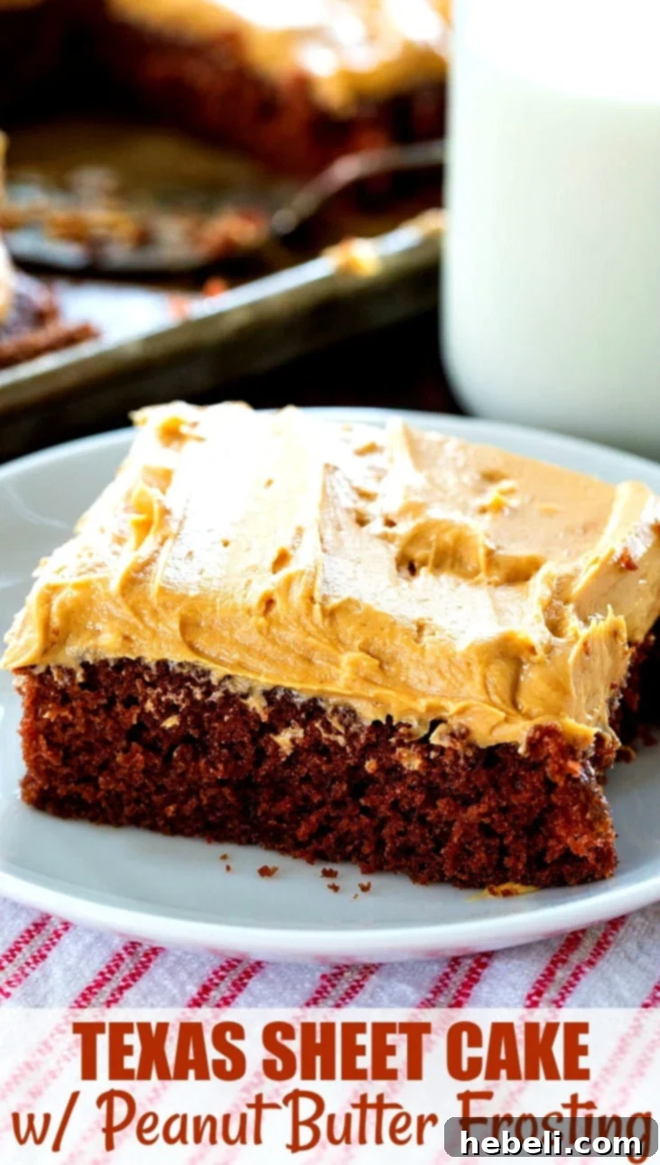 Creamy Peanut Butter Texas Sheet Cake 6 A close-up view of a delicious slice of Texas Sheet Cake with creamy peanut butter frosting, presented elegantly on a clean white plate.