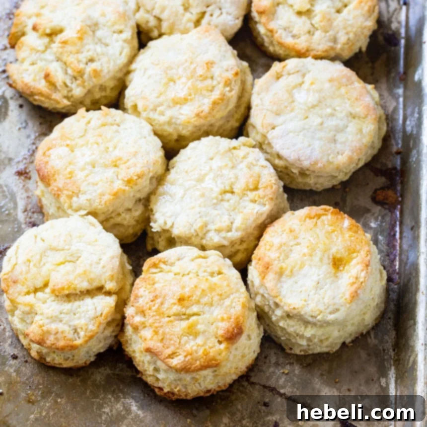 Freshly baked Sweet Little Biscuits cooling on a baking sheet, golden brown and inviting, with a focus on their perfectly risen tops.