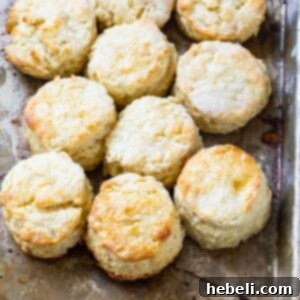 Biscuits on a baking sheet, ready to be served and enjoyed.