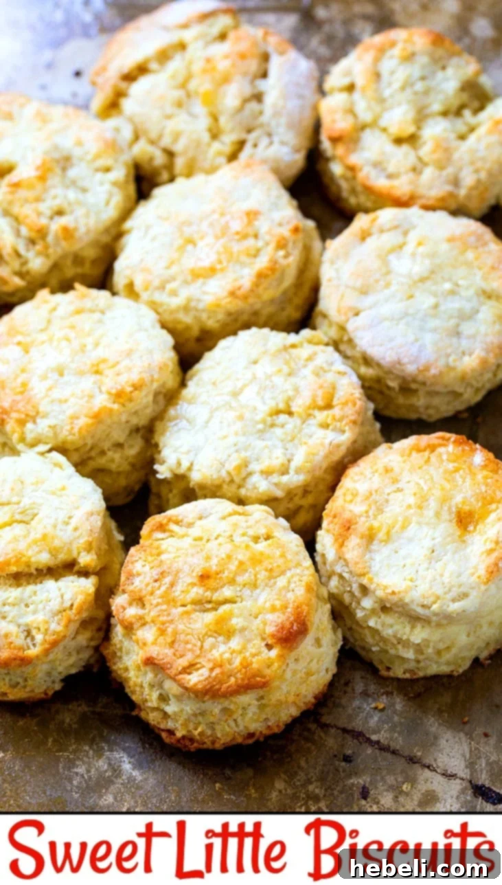 A fresh batch of golden, fluffy Sweet Little Biscuits cooling on a wire rack after baking, showing their inviting texture.