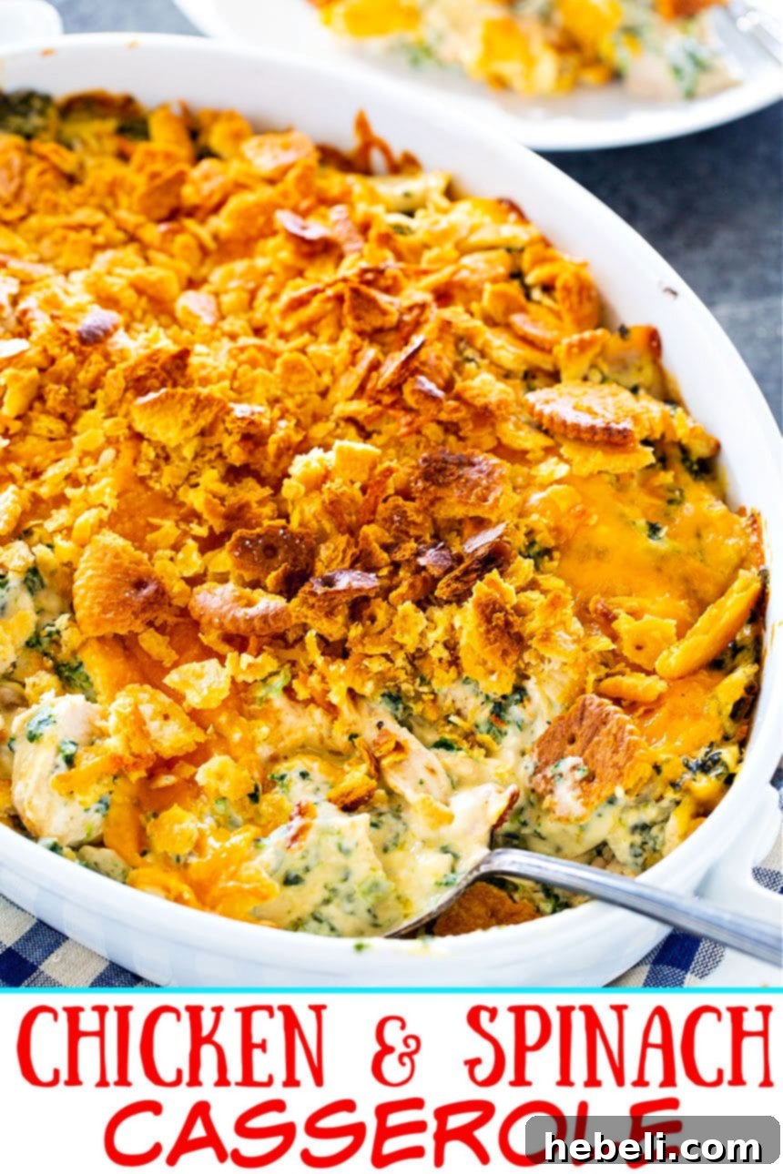 Effortless Chicken Spinach Bake 4 A serving spoon scooping out a generous portion of the creamy Chicken and Spinach Casserole from the dish.