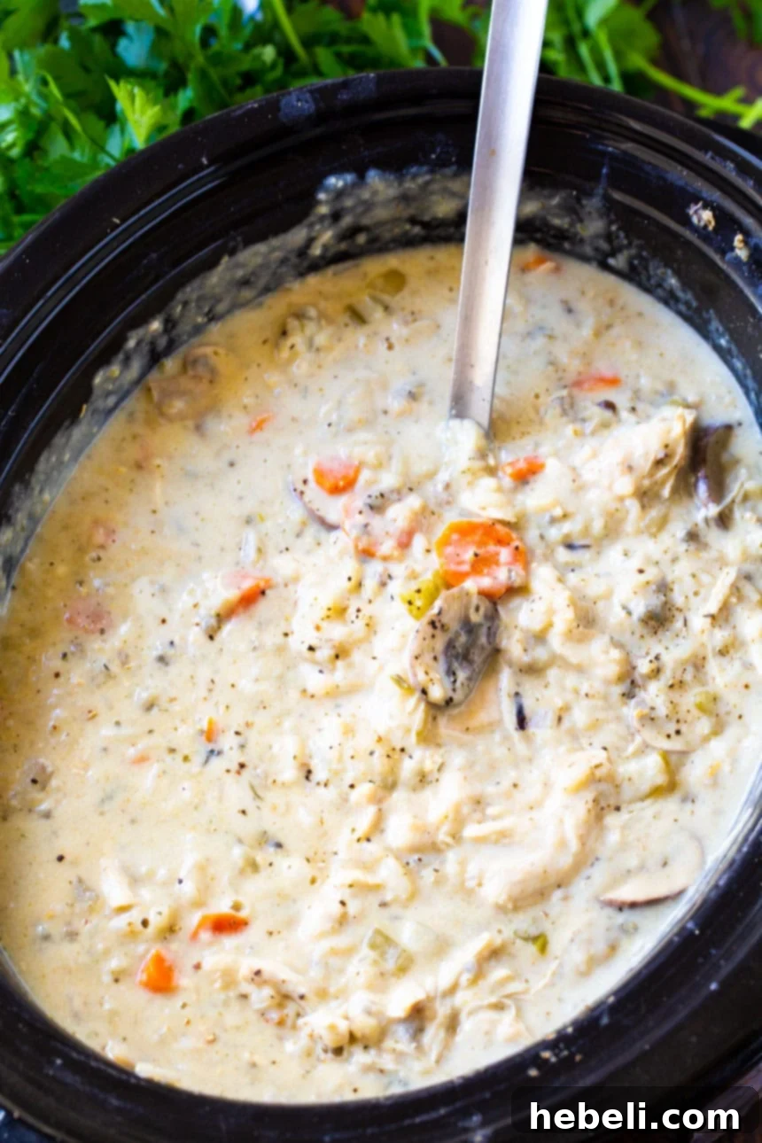 Chicken Wild Rice Soup with chicken breasts, vegetables, and broth in a slow cooker.