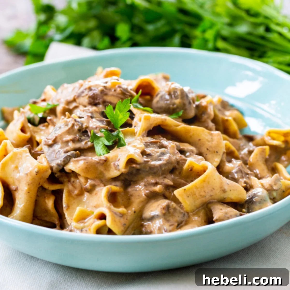 A delicious bowl of Slow Cooker Beef Stroganoff, showcasing tender beef and creamy sauce with mushrooms.