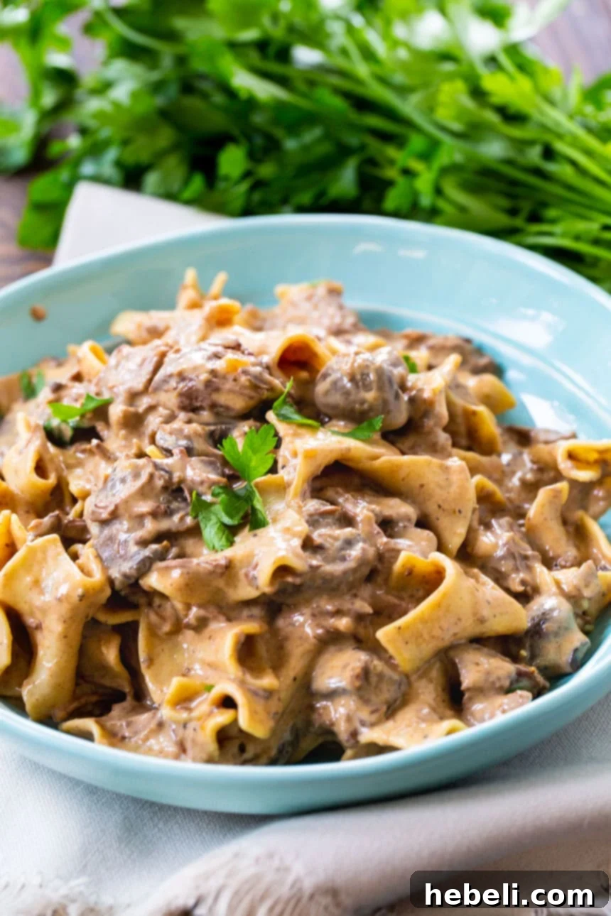 A bowl of Slow Cooker Beef Stroganoff with a garnish, ready to be enjoyed.