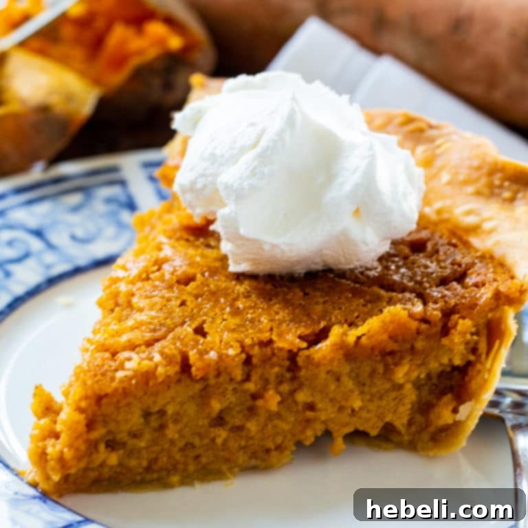 A beautifully sliced piece of Southern Sweet Potato Pie on a small white plate, showcasing its vibrant orange filling and inviting texture.