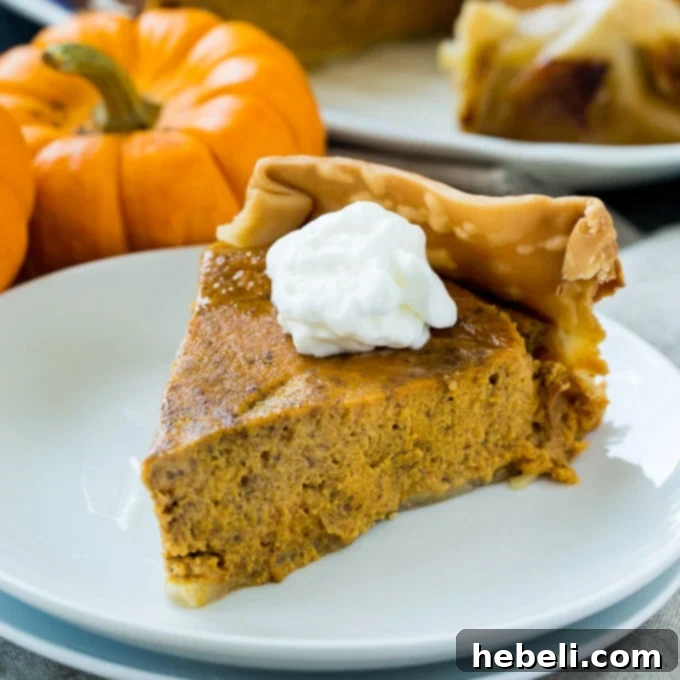 A slice of Crock Pot Pumpkin Pie, perfectly set and topped with a luxurious swirl of whipped cream, ready for enjoyment.