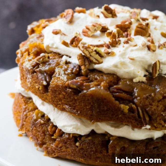 A Pumpkin Praline Torte, elegantly presented on a white cake stand, showing its distinct layers and a generous praline topping.