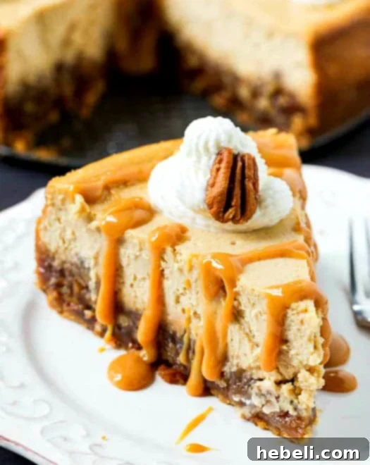 A beautiful slice of Pecan Pie Cheesecake, showing distinct layers of creamy cheesecake and a generous, nutty pecan topping.