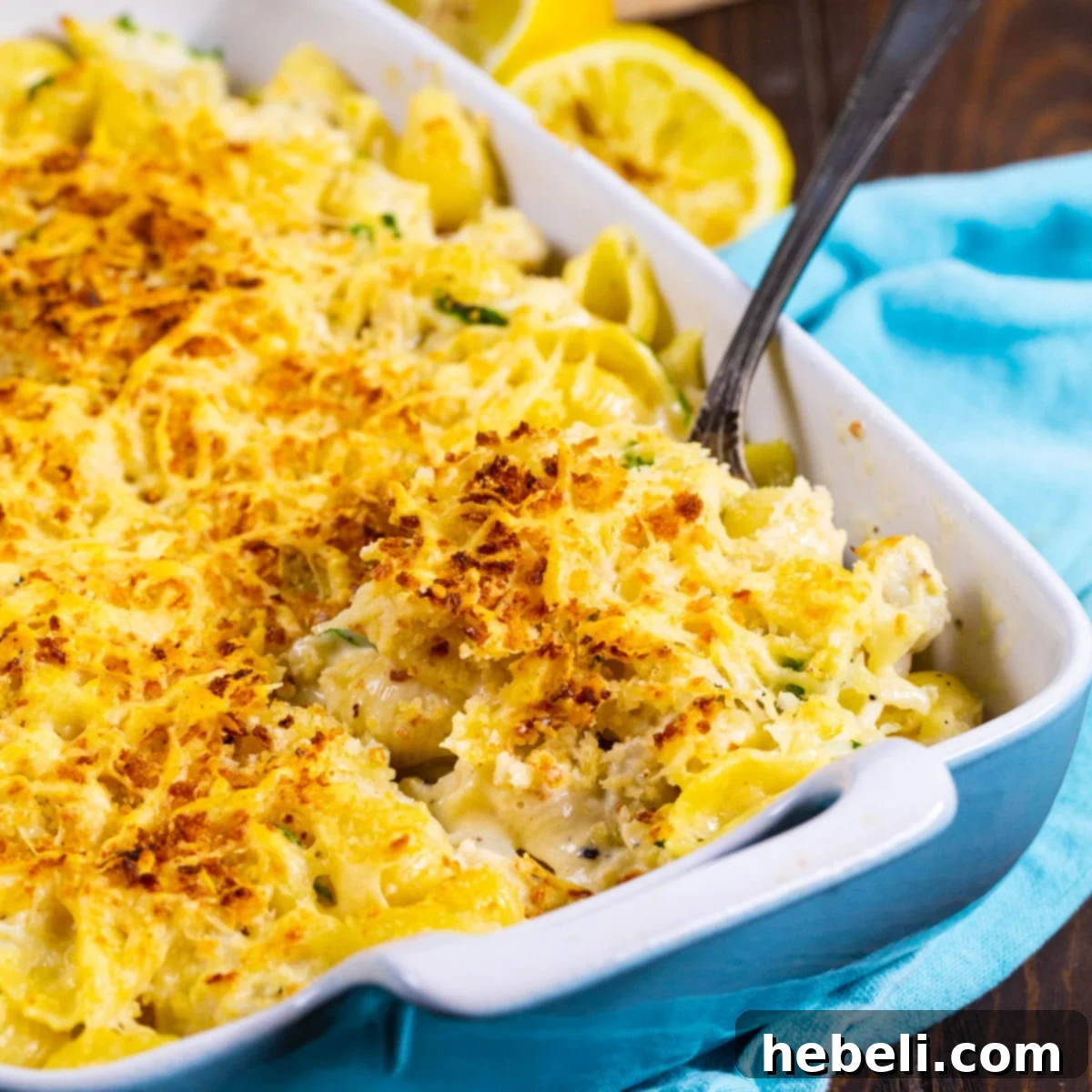 Creamy Crab Alfredo Shells 2 Crab Alfredo Shells in a baking dish, freshly baked and golden brown.