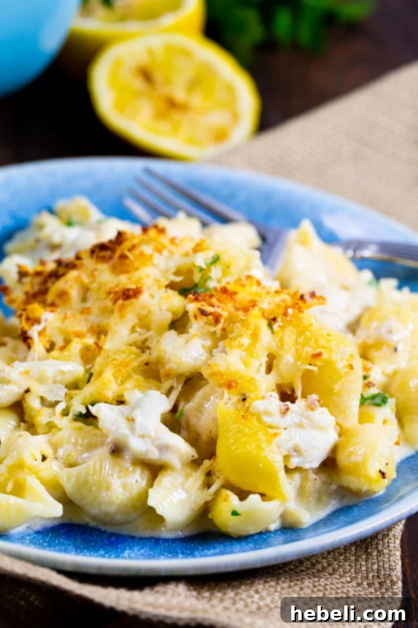 Creamy Crab Alfredo Shells 4 Crab Alfredo Shells served on a blue plate, garnished with fresh parsley.