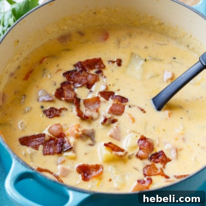 Thick and creamy Cheesy Ham and Potato Chowder, garnished with chives, in a rustic bowl.