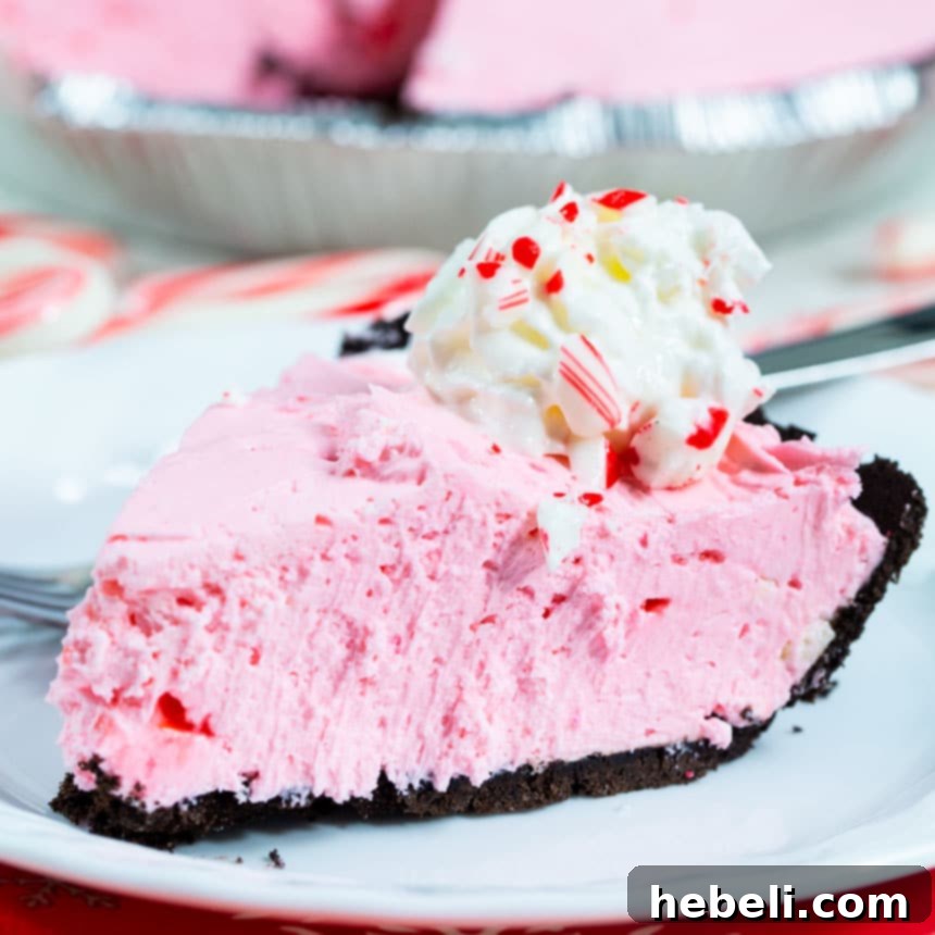 A beautifully presented slice of No-Bake Peppermint Pie on a pristine white plate, garnished with a sprig of mint and a few crushed candy cane pieces.