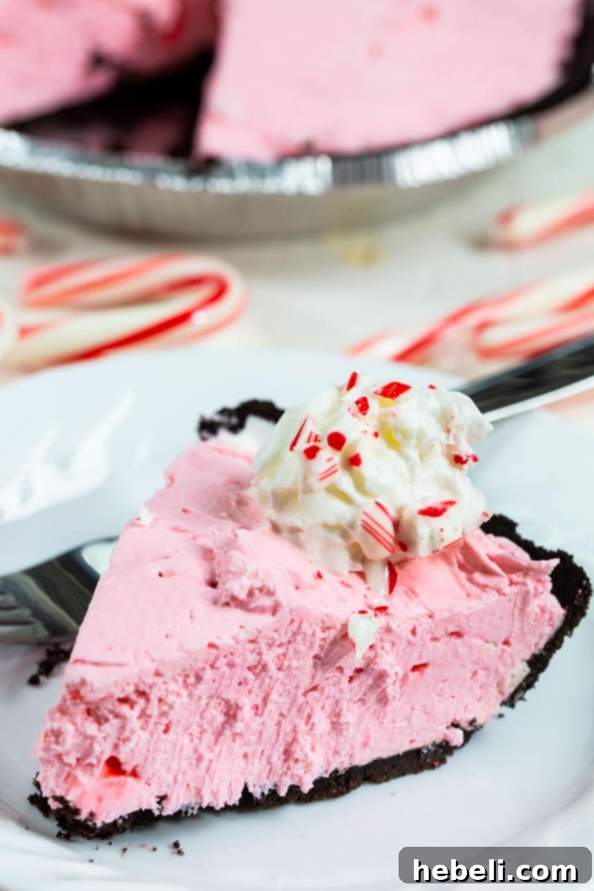 A vibrant slice of No-Bake Peppermint Pie, showcasing its creamy texture and festive pink color.