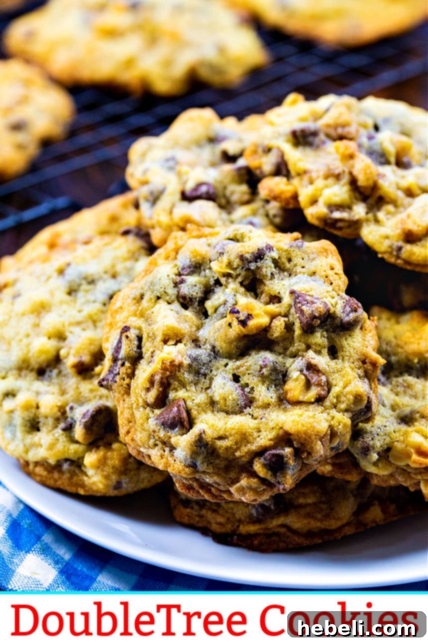 The Secret to DoubleTree's Signature Cookie 4 A plate of perfectly baked DoubleTree Cookies, inviting and ready to be enjoyed.