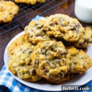 Close-up of a warm DoubleTree Chocolate Chip Cookie, showing its rich texture and chocolate chunks.