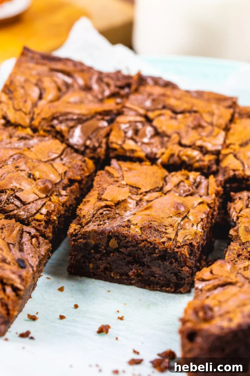 A close-up view of a single Nutella brownie square, showcasing its rich, dense texture, shiny crackled top, and embedded chocolate chips.