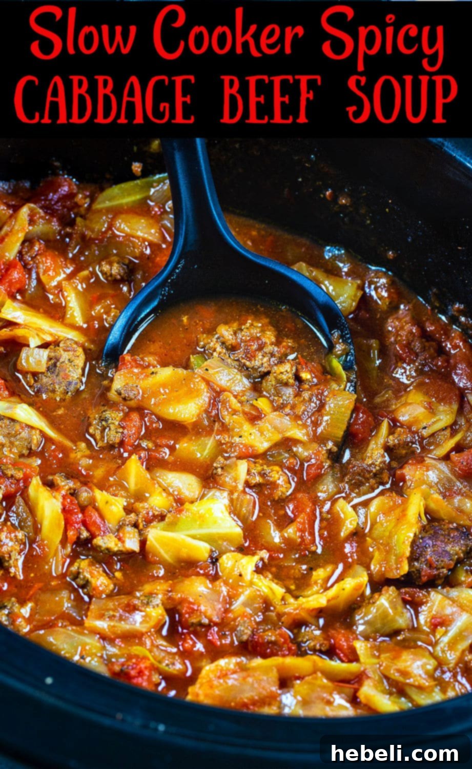 A beautifully plated bowl of Slow Cooker Spicy Cabbage Beef Soup, garnished with fresh herbs and ready to be savored.