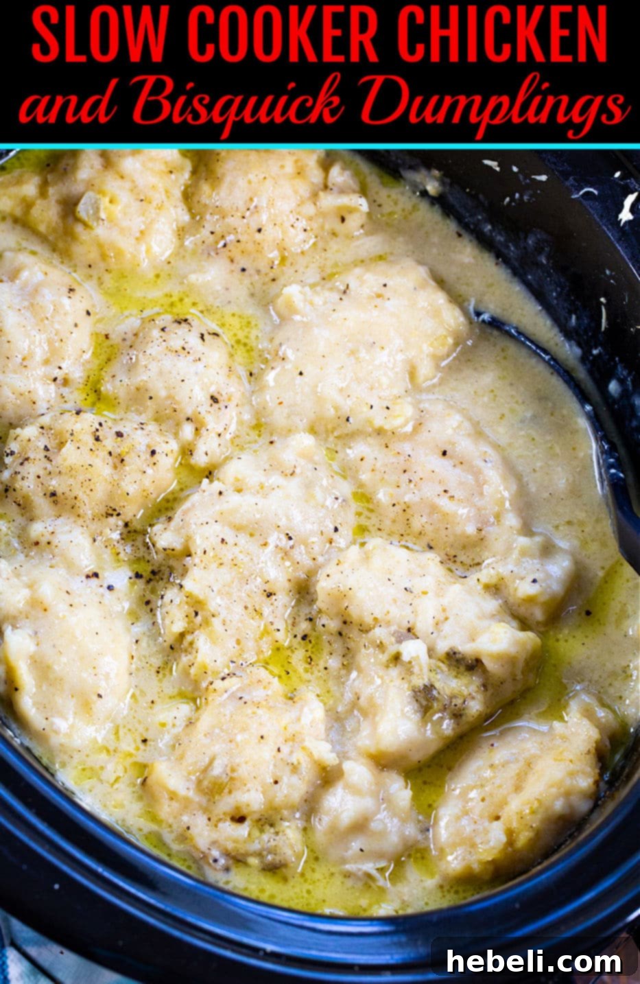 Homestyle Slow Cooker Chicken and Bisquick Dumplings 5 Close-up of a serving of Slow Cooker Chicken and Bisquick Dumplings in a bowl, steam rising.
