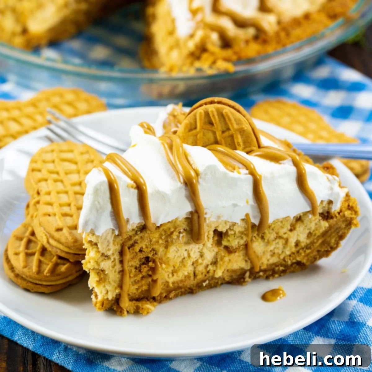 Peanut Butter Bliss Pie 2 A delectable slice of Nutter Butter Pie, showcasing its creamy filling, crunchy crust, and peanut butter drizzle, served on a white plate.